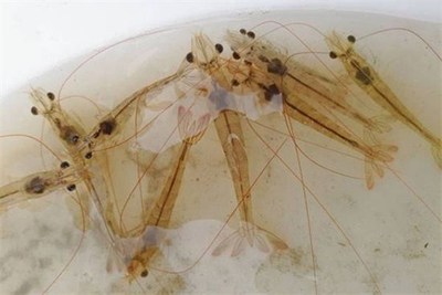 1733815503175962.jpg 222.jpg