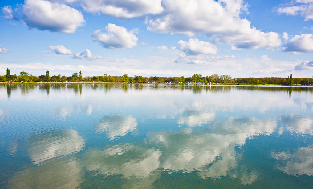 早春如何快速培育優(yōu)良水質(zhì)和藻相？
