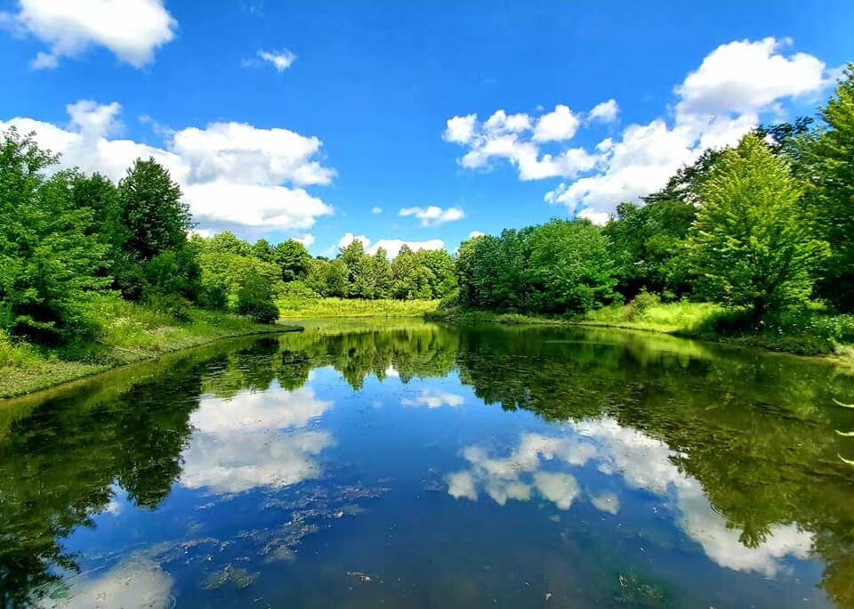 回溫期養(yǎng)蝦如何治弧菌？