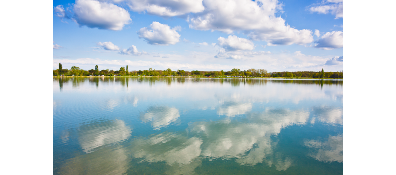 早春如何快速培育優(yōu)良水質(zhì)和藻相？