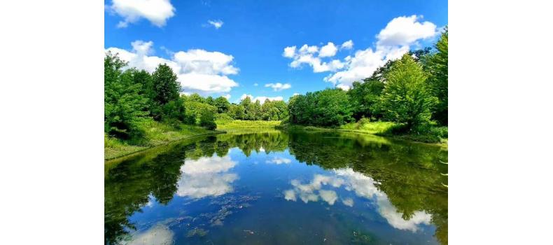 回溫期養(yǎng)蝦如何治弧菌？